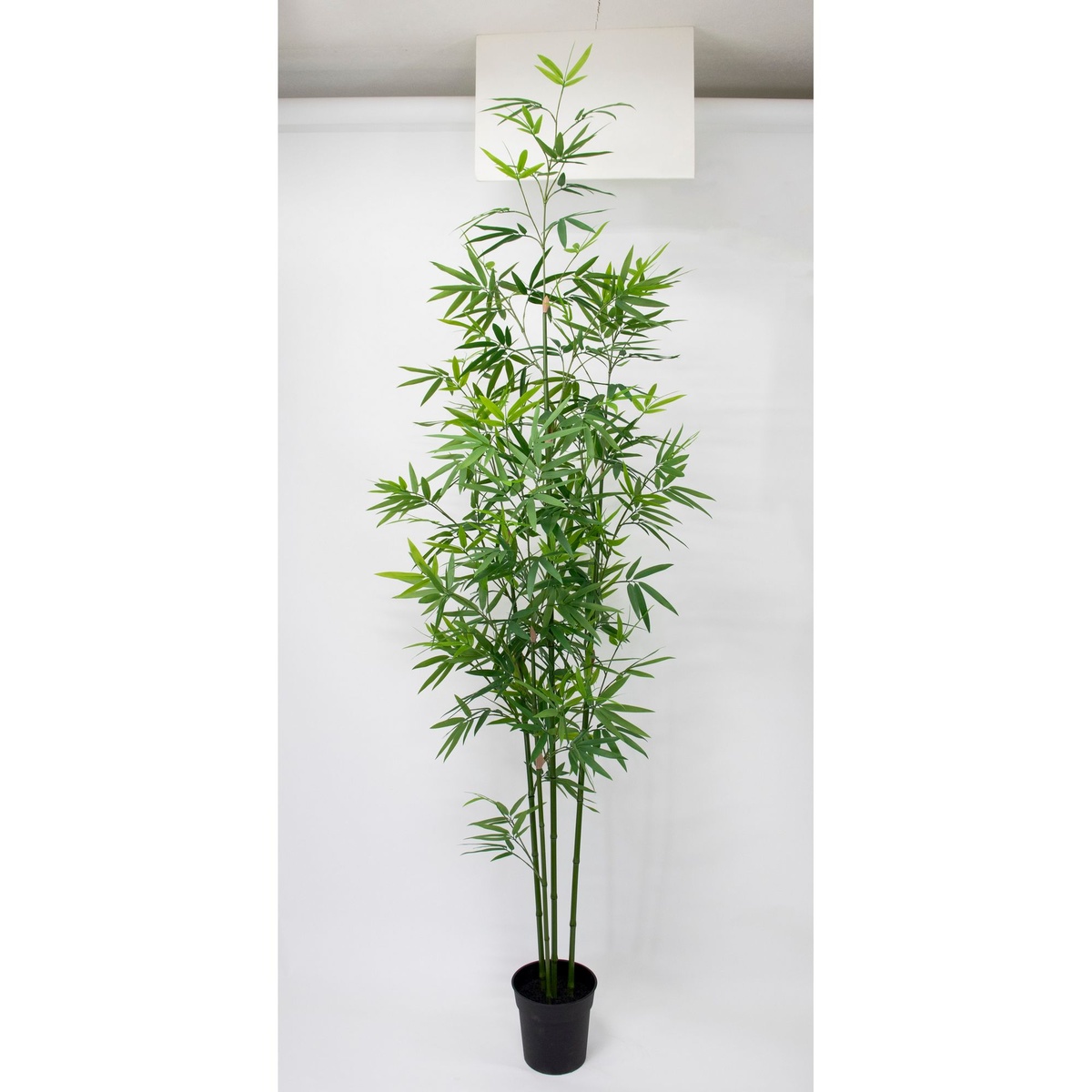 特価◎【人工観葉植物】ビダヤコム/Planeco バンブーポット(組立式) G グリーン/VR26020-024