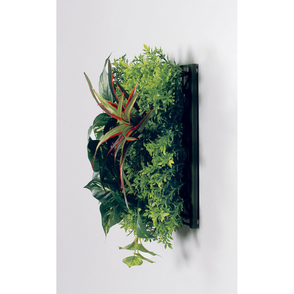【直送】【人工観葉植物】ベルク/マグネットグリーン(マットパネル)/GR1244 ※返品・代引・キャンセル不可・個人宅配送不可
