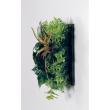 【直送】【人工観葉植物】ベルク/マグネットグリーン(マットパネル)/GR1244 ※返品・代引・キャンセル不可・個人宅配送不可