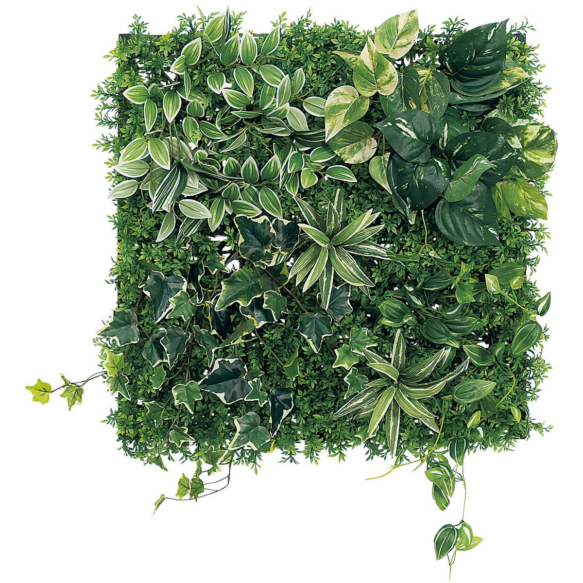【直送】【人工観葉植物】ベルク/マグネットグリーン(マットパネル)/GR1247 ※返品・代引・キャンセル不可・個人宅配送不可