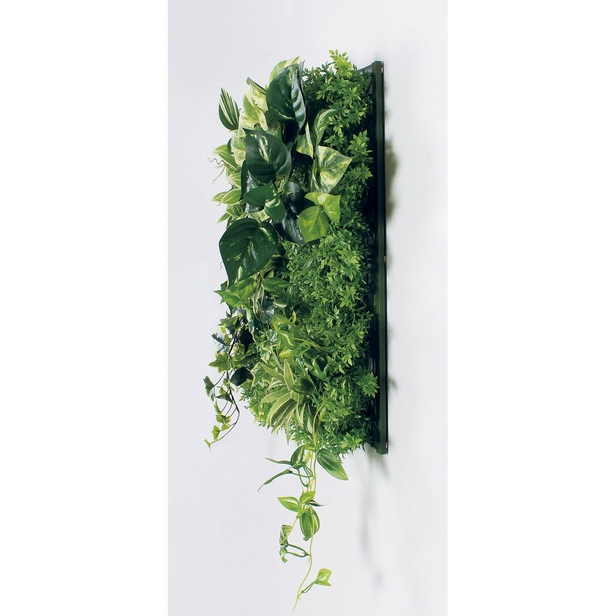 【直送】【人工観葉植物】ベルク/マグネットグリーン(マットパネル)/GR1247 ※返品・代引・キャンセル不可・個人宅配送不可