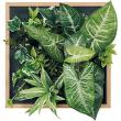 【直送】【人工観葉植物】ベルク/マグネットグリーン(木目) ナチュラル/GR1251 ※返品・代引・キャンセル不可・個人宅配送不可