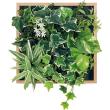 【直送】【人工観葉植物】ベルク/マグネットグリーン(木目) ナチュラル/GR1252 ※返品・代引・キャンセル不可・個人宅配送不可