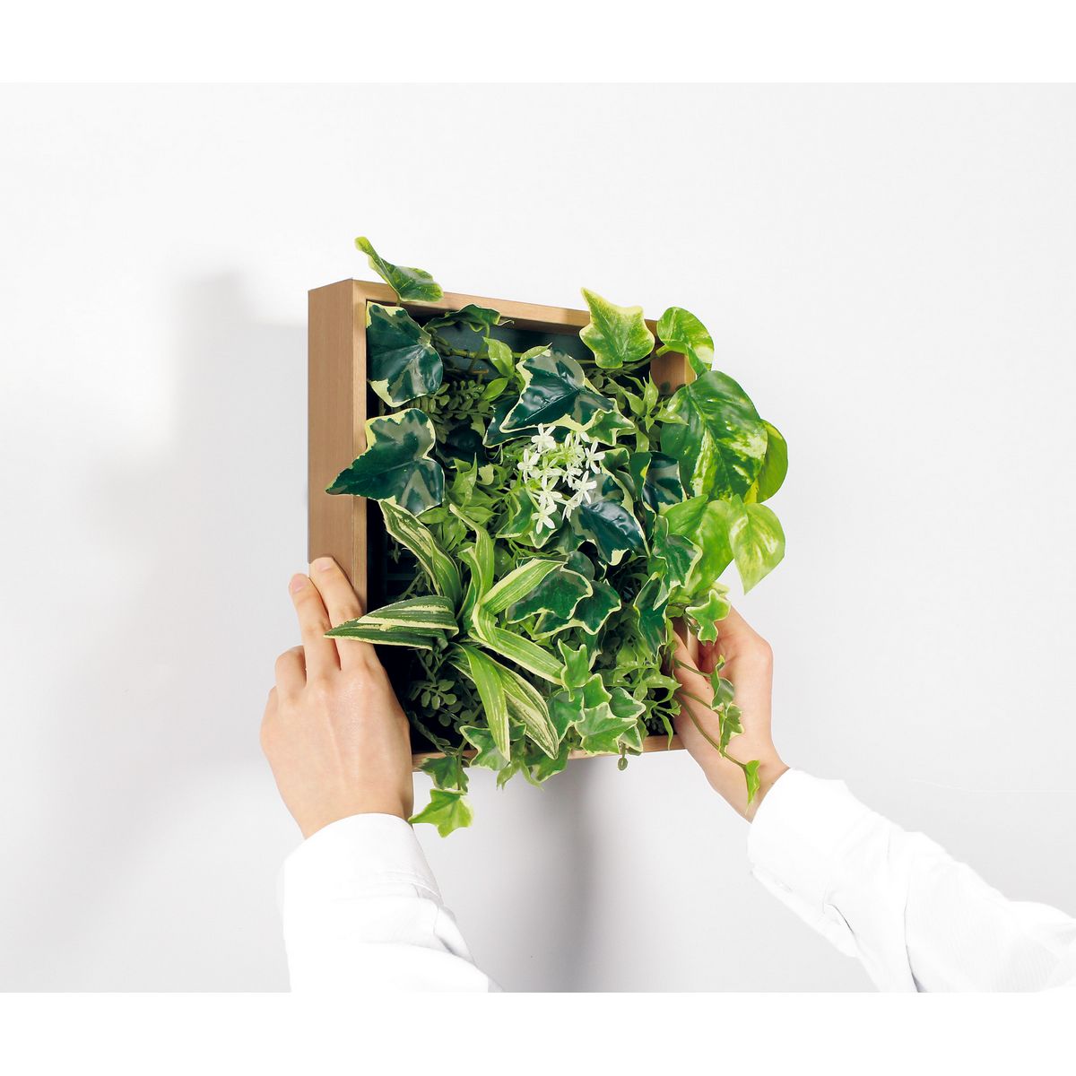 【直送】【人工観葉植物】ベルク/マグネットグリーン(木目) ナチュラル/GR1252 ※返品・代引・キャンセル不可・個人宅配送不可