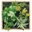 【直送】【人工観葉植物】ベルク/マグネットグリーン(木目) ナチュラル/GR1253 ※返品・代引・キャンセル不可・個人宅配送不可
