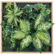 【直送】【人工観葉植物】ベルク/マグネットグリーン(木目) ナチュラル/GR1254 ※返品・代引・キャンセル不可・個人宅配送不可
