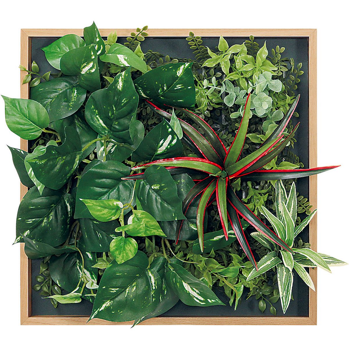 【直送】【人工観葉植物】ベルク/マグネットグリーン(木目) ナチュラル/GR1256 ※返品・代引・キャンセル不可・個人宅配送不可