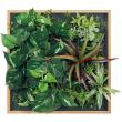 【直送】【人工観葉植物】ベルク/マグネットグリーン(木目) ナチュラル/GR1256 ※返品・代引・キャンセル不可・個人宅配送不可