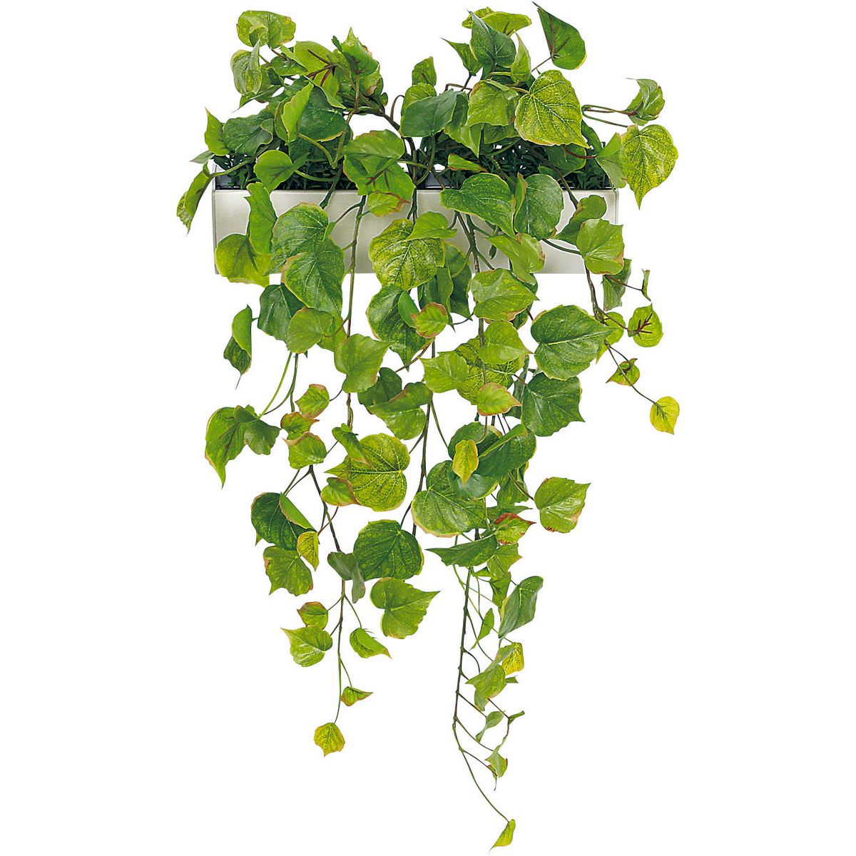 【直送】【人工観葉植物】ベルク/マグネットグリーン(ポット) 白/GR4489 ※返品・代引・キャンセル不可・個人宅配送不可
