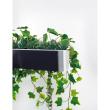 【直送】【人工観葉植物】ベルク/マグネットグリーン(ポット) 白/GR4491 ※返品・代引・キャンセル不可・個人宅配送不可