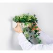 【直送】【人工観葉植物】ベルク/マグネットグリーン(ポット) 白/GR4492 ※返品・代引・キャンセル不可・個人宅配送不可