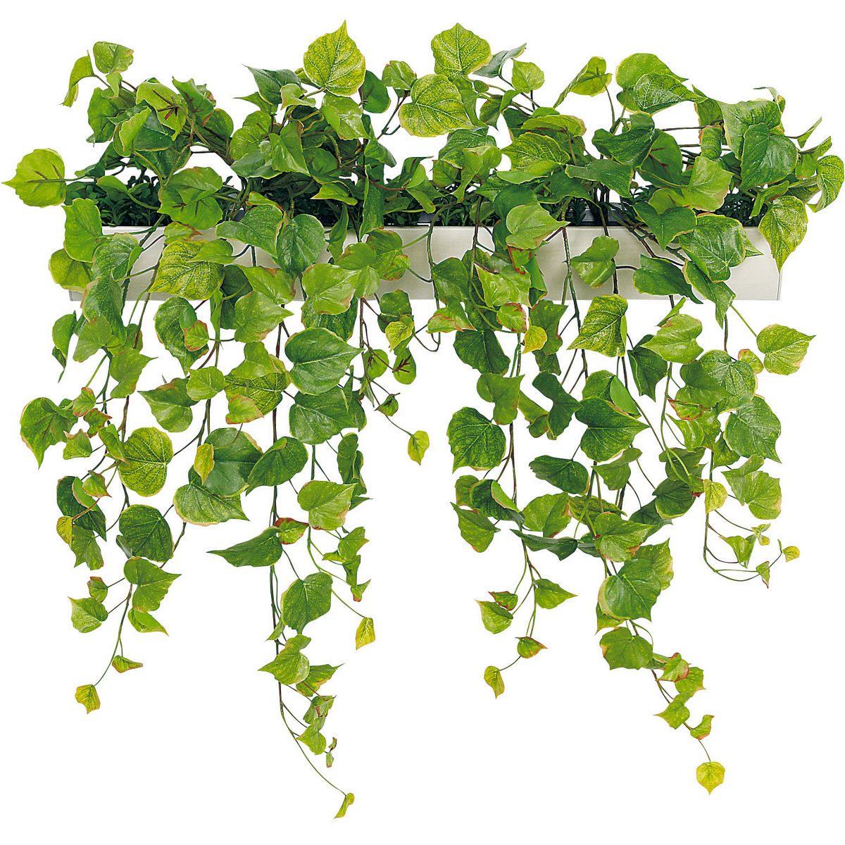 【直送】【人工観葉植物】ベルク/マグネットグリーン(ポット) 白/GR4493 ※返品・代引・キャンセル不可・個人宅配送不可