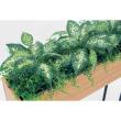 【直送】【人工観葉植物】ベルク/デザインパーテーション ナチュラル/GR2005 ※返品・代引・キャンセル不可・個人宅配送不可