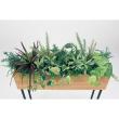 【直送】【人工観葉植物】ベルク/デザインパーテーション ナチュラル/GR2006 ※返品・代引・キャンセル不可・個人宅配送不可