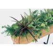 【直送】【人工観葉植物】ベルク/デザインパーテーション ナチュラル/GR2006 ※返品・代引・キャンセル不可・個人宅配送不可