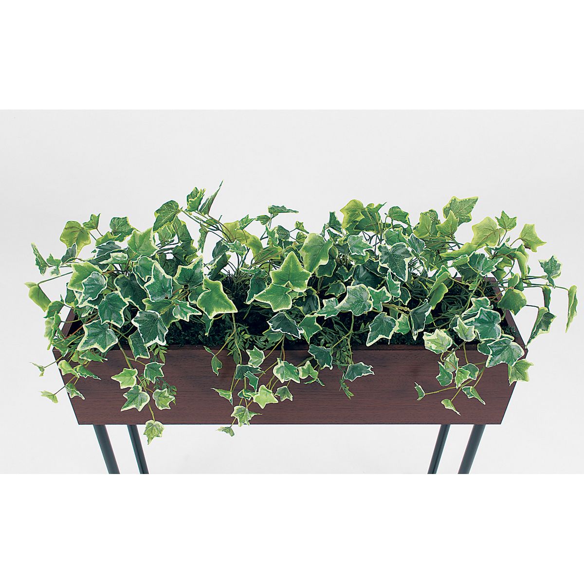 【直送】【人工観葉植物】ベルク/デザインパーテーション セピア/GR2007 ※返品・代引・キャンセル不可・個人宅配送不可
