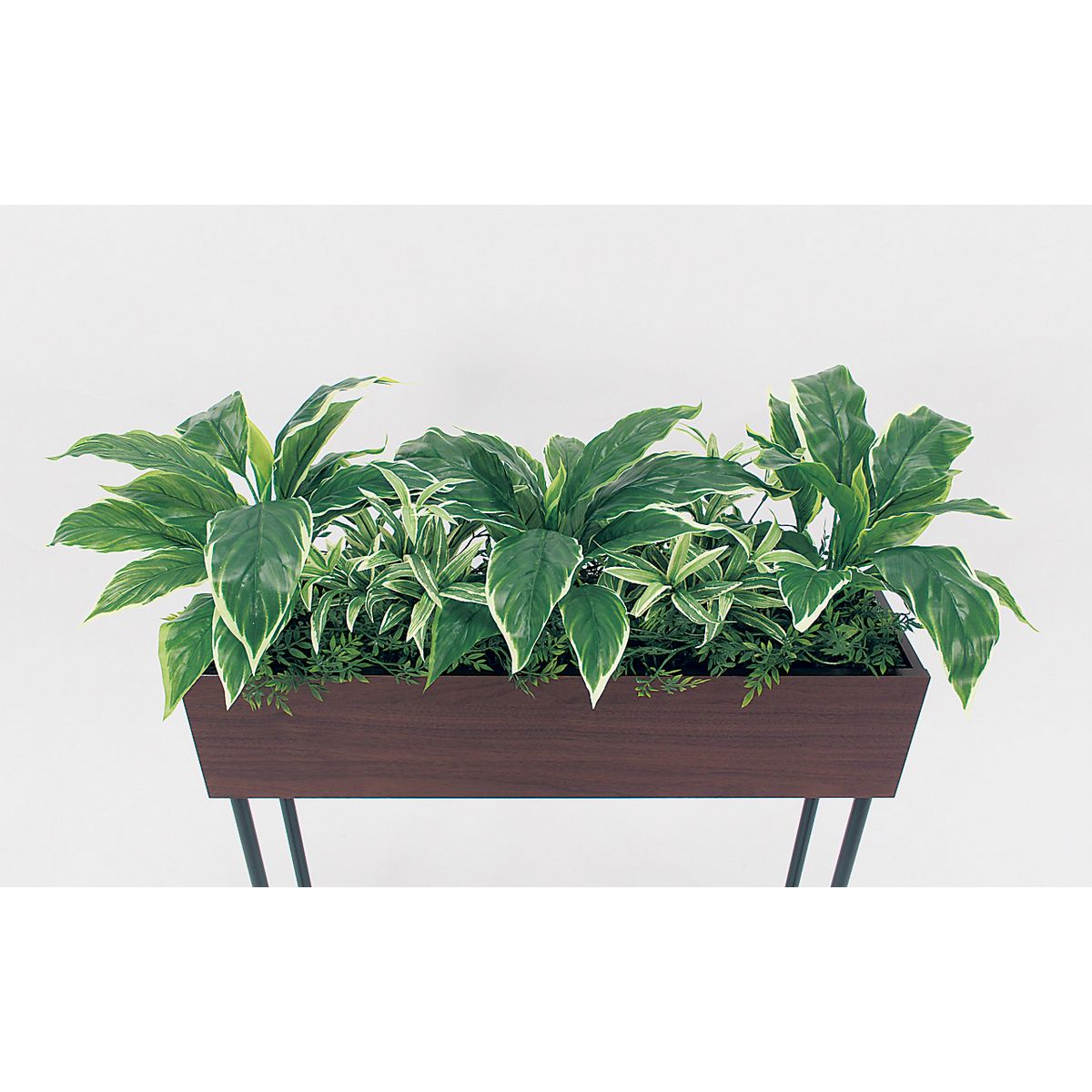 【直送】【人工観葉植物】ベルク/デザインパーテーション セピア/GR2008 ※返品・代引・キャンセル不可・個人宅配送不可