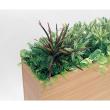 【直送】【人工観葉植物】ベルク/BOXプランター ナチュラル/GR2009 ※返品・代引・キャンセル不可・個人宅配送不可