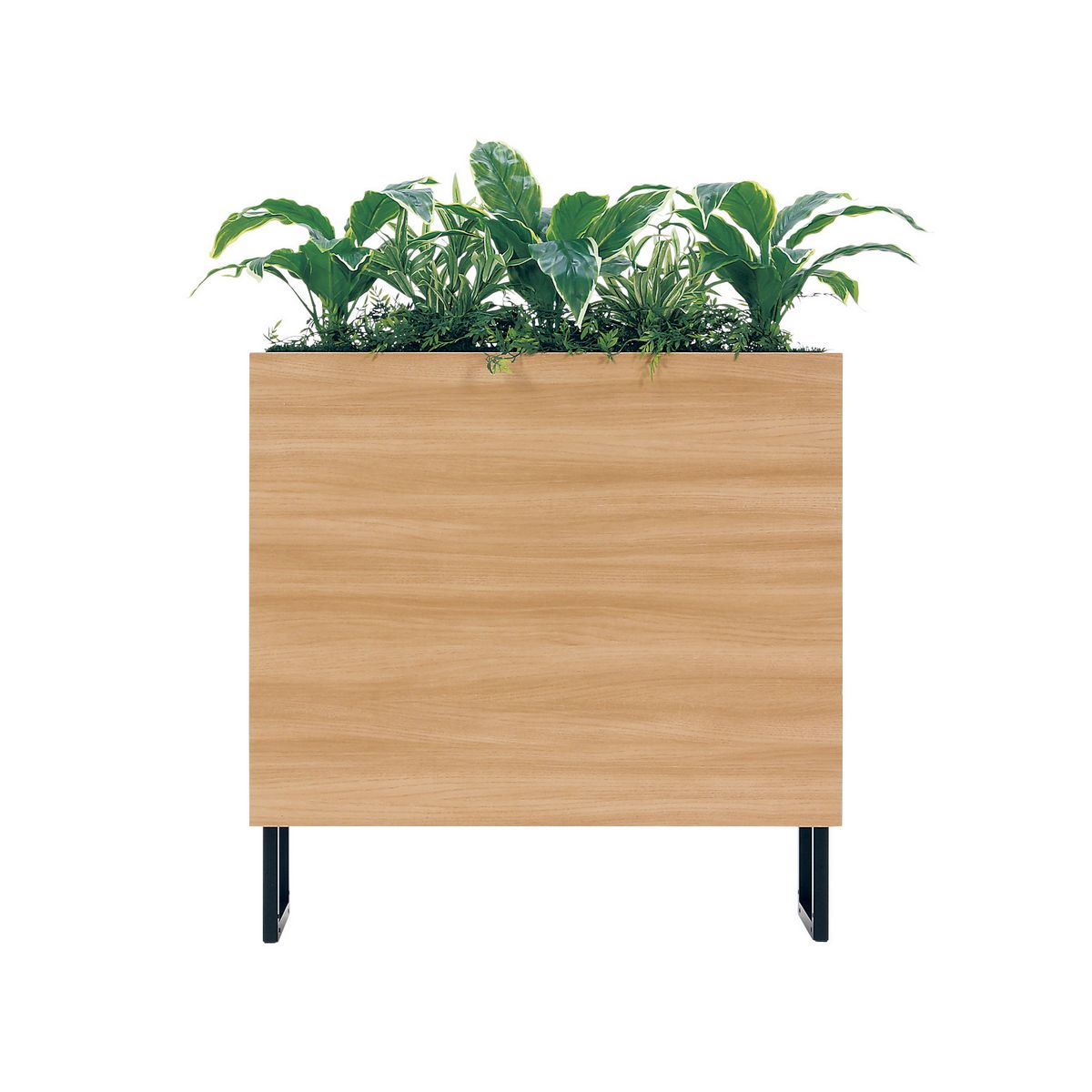 【直送】【人工観葉植物】ベルク/BOXプランター ナチュラル/GR2010 ※返品・代引・キャンセル不可・個人宅配送不可