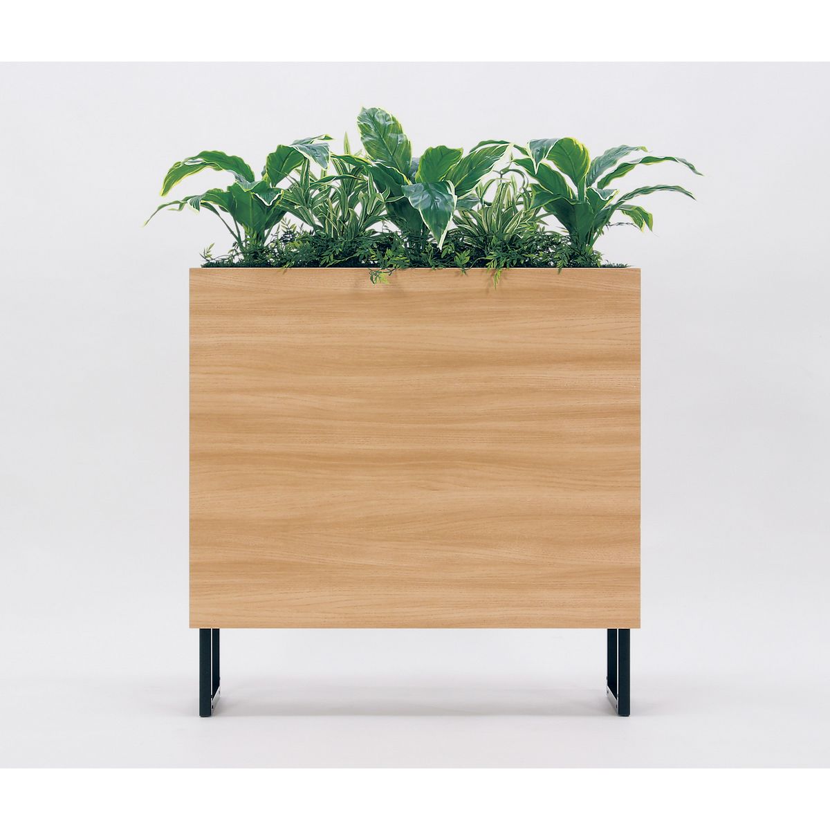 【直送】【人工観葉植物】ベルク/BOXプランター ナチュラル/GR2010 ※返品・代引・キャンセル不可・個人宅配送不可