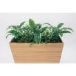 【直送】【人工観葉植物】ベルク/BOXプランター ナチュラル/GR2010 ※返品・代引・キャンセル不可・個人宅配送不可