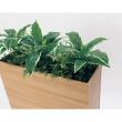 【直送】【人工観葉植物】ベルク/BOXプランター ナチュラル/GR2010 ※返品・代引・キャンセル不可・個人宅配送不可