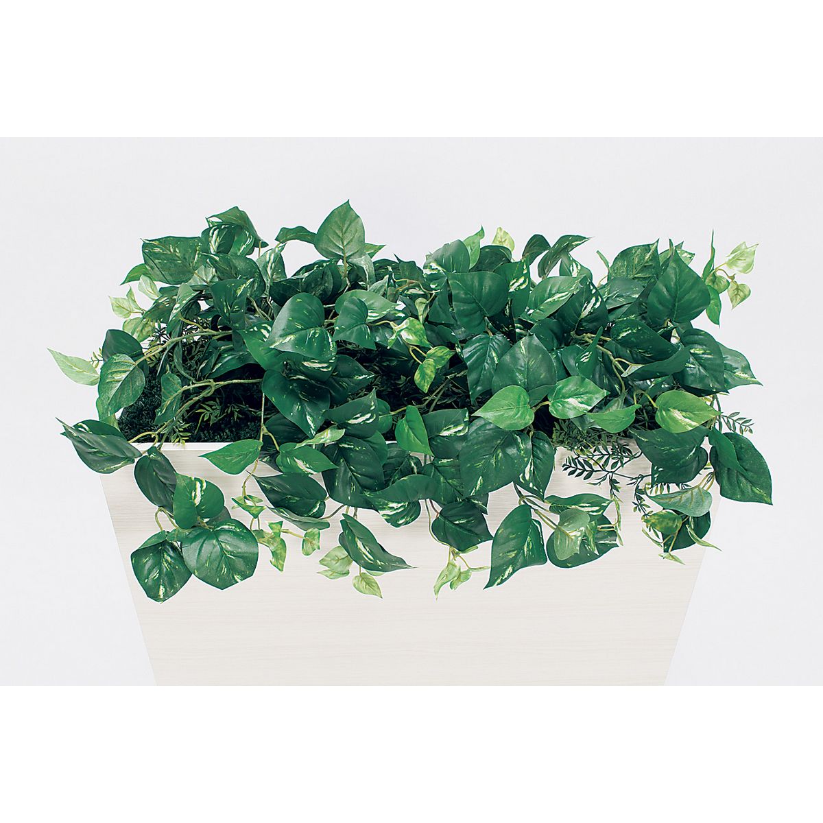 【直送】【人工観葉植物】ベルク/BOXプランター 白/GR2012 ※返品・代引・キャンセル不可・個人宅配送不可