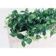 【直送】【人工観葉植物】ベルク/BOXプランター 白/GR2012 ※返品・代引・キャンセル不可・個人宅配送不可