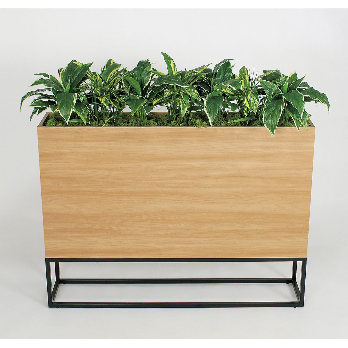 【直送】【人工観葉植物】ベルク/BOXプランター ナチュラル/GR2276 ※返品・代引・キャンセル不可・個人宅配送不可