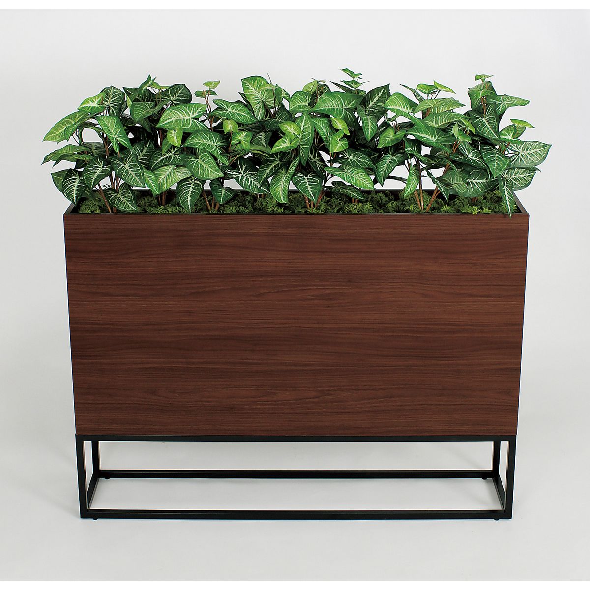 【直送】【人工観葉植物】ベルク/BOXプランター ナチュラル/GR2276 ※返品・代引・キャンセル不可・個人宅配送不可