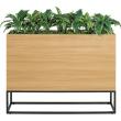 【直送】【人工観葉植物】ベルク/BOXプランター ナチュラル/GR2281 ※返品・代引・キャンセル不可・個人宅配送不可