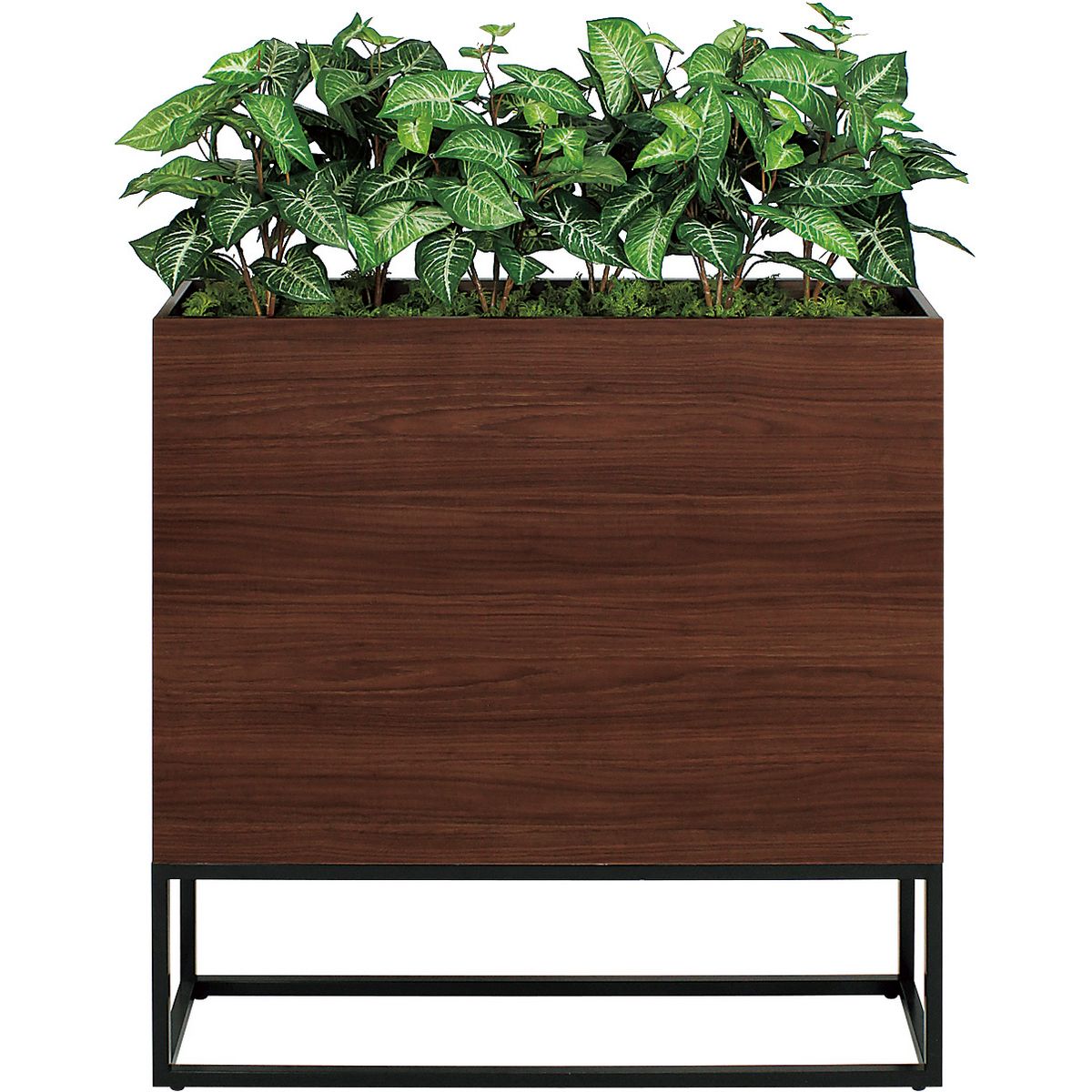 【直送】【人工観葉植物】ベルク/BOXプランター セピア/GR2282 ※返品・代引・キャンセル不可・個人宅配送不可