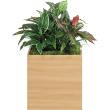 【直送】【人工観葉植物】ベルク/スタッキングプランター ナチュラル/GR2549 ※返品・代引・キャンセル不可・個人宅配送不可