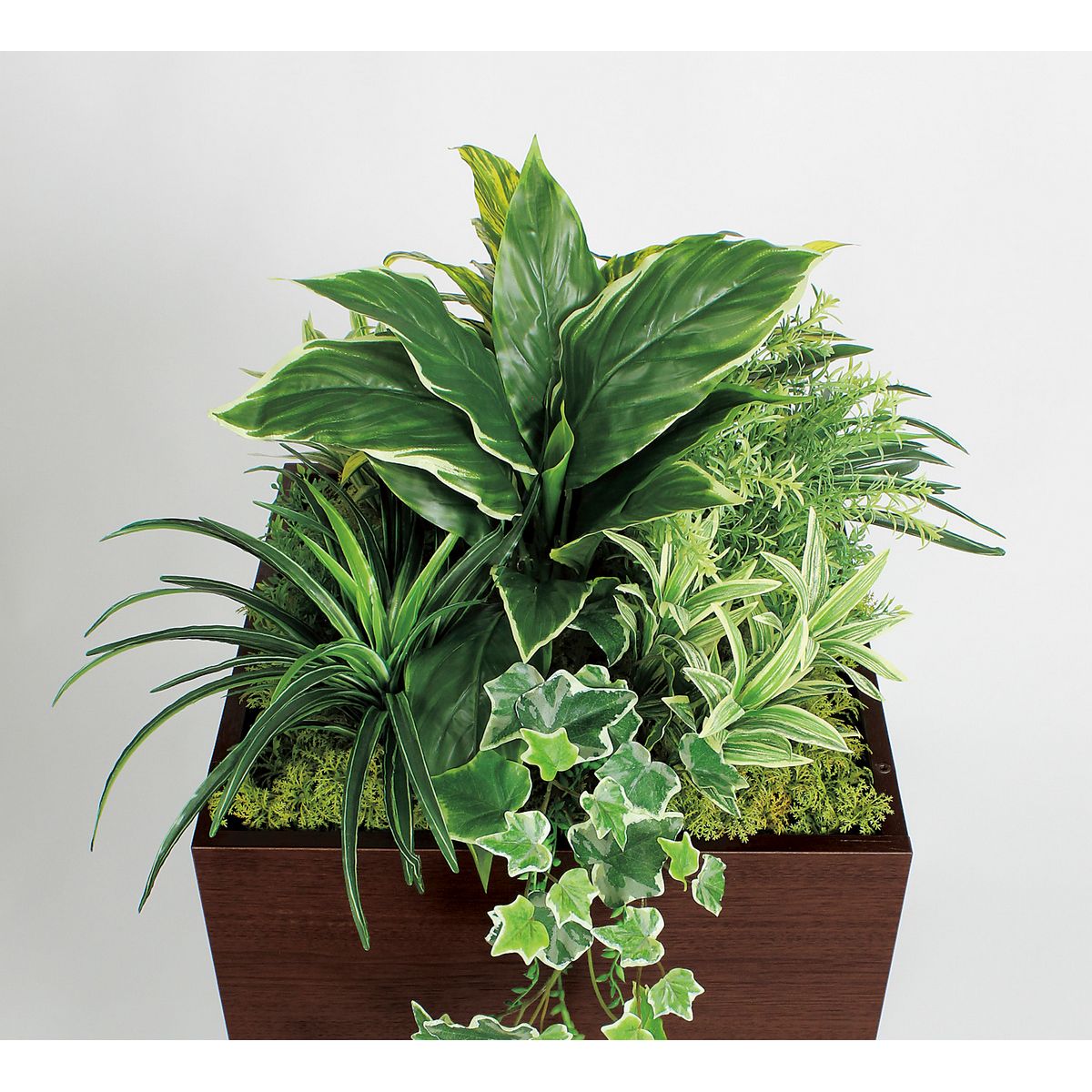 【直送】【人工観葉植物】ベルク/スタッキングプランター セピア/GR2556 ※返品・代引・キャンセル不可・個人宅配送不可