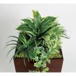 【直送】【人工観葉植物】ベルク/スタッキングプランター セピア/GR2556 ※返品・代引・キャンセル不可・個人宅配送不可