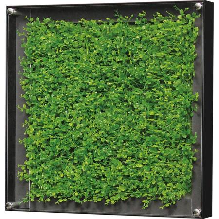 【直送】【人工観葉植物】ベルク/ウォールグリーン 黒/GR3303 ※返品・代引・キャンセル不可・個人宅配送不可