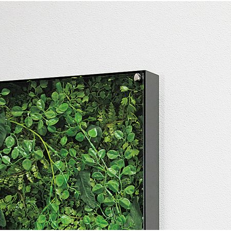 【直送】【人工観葉植物】ベルク/ウォールグリーン 黒/GR3303 ※返品・代引・キャンセル不可・個人宅配送不可