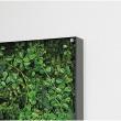 【直送】【人工観葉植物】ベルク/ウォールグリーン 黒/GR3303 ※返品・代引・キャンセル不可・個人宅配送不可