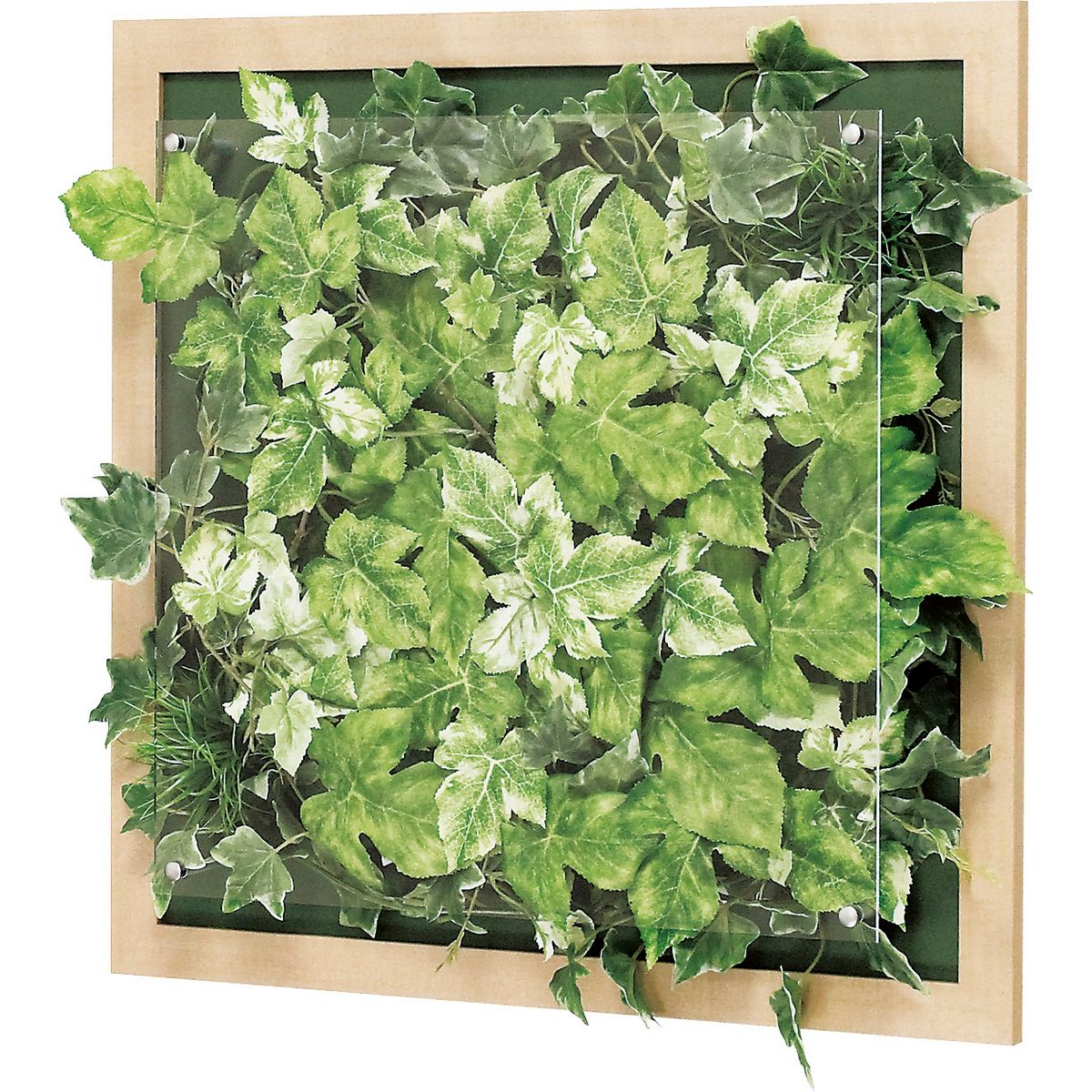 【直送】【人工観葉植物】ベルク/ウォールグリーン(木目) ナチュラル/GR3348 ※返品・代引・キャンセル不可・個人宅配送不可