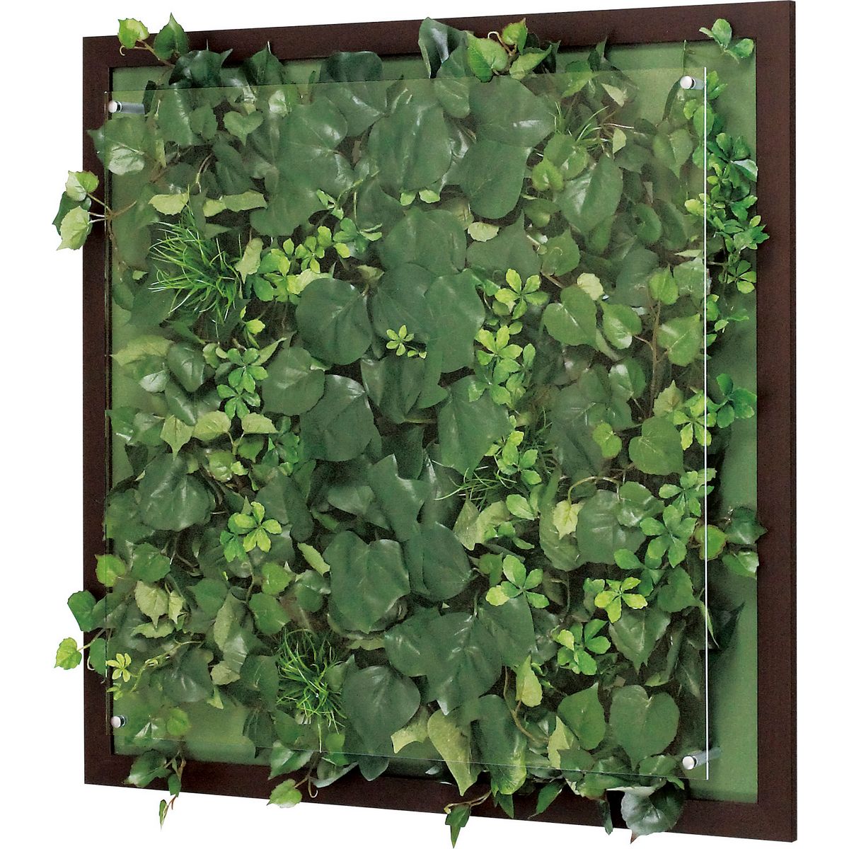 【直送】【人工観葉植物】ベルク/ウォールグリーン(木目) ナチュラル/GR3348 ※返品・代引・キャンセル不可・個人宅配送不可
