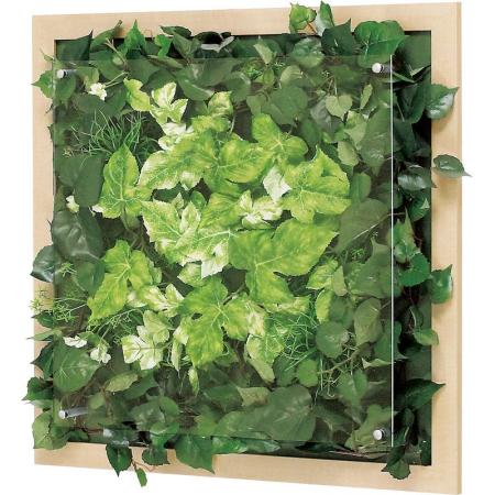 【直送】【人工観葉植物】ベルク/ウォールグリーン(木目) ナチュラル/GR3350 ※返品・代引・キャンセル不可・個人宅配送不可