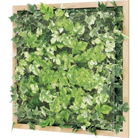 【直送】【人工観葉植物】ベルク/ウォールグリーン(木目) ナチュラル/GR3352 ※返品・代引・キャンセル不可・個人宅配送不可