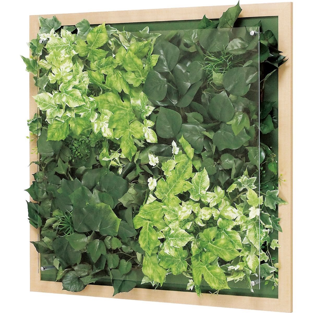 【直送】【人工観葉植物】ベルク/ウォールグリーン(木目) ナチュラル/GR3354 ※返品・代引・キャンセル不可・個人宅配送不可