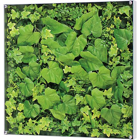 【直送】【人工観葉植物】ベルク/ウォールグリーン シルバー/GR3562 ※返品・代引・キャンセル不可・個人宅配送不可