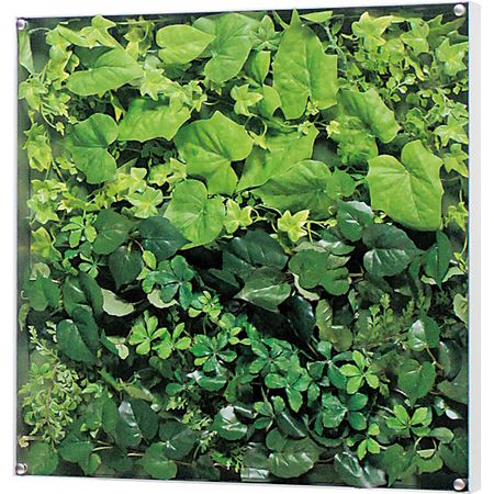 【直送】【人工観葉植物】ベルク/ウォールグリーン シルバー/GR3563 ※返品・代引・キャンセル不可・個人宅配送不可