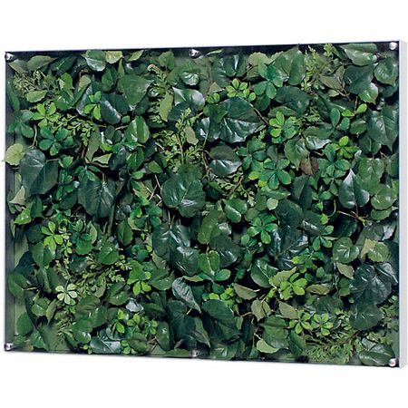 【直送】【人工観葉植物】ベルク/ウォールグリーン シルバー/GR3564 ※返品・代引・キャンセル不可・個人宅配送不可