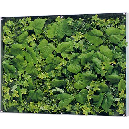 【直送】【人工観葉植物】ベルク/ウォールグリーン シルバー/GR3565 ※返品・代引・キャンセル不可・個人宅配送不可