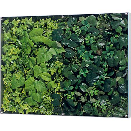 【直送】【人工観葉植物】ベルク/ウォールグリーン シルバー/GR3566 ※返品・代引・キャンセル不可・個人宅配送不可