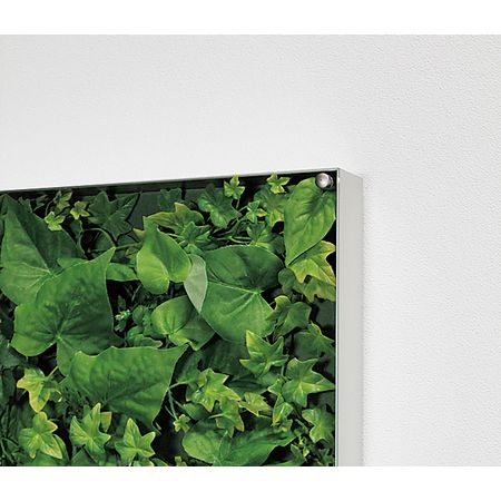 【直送】【人工観葉植物】ベルク/ウォールグリーン シルバー/GR3566 ※返品・代引・キャンセル不可・個人宅配送不可