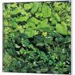 【直送】【人工観葉植物】ベルク/ウォールグリーン シルバー/GR3566 ※返品・代引・キャンセル不可・個人宅配送不可
